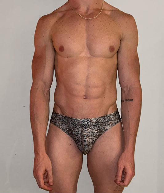 Swim Brief